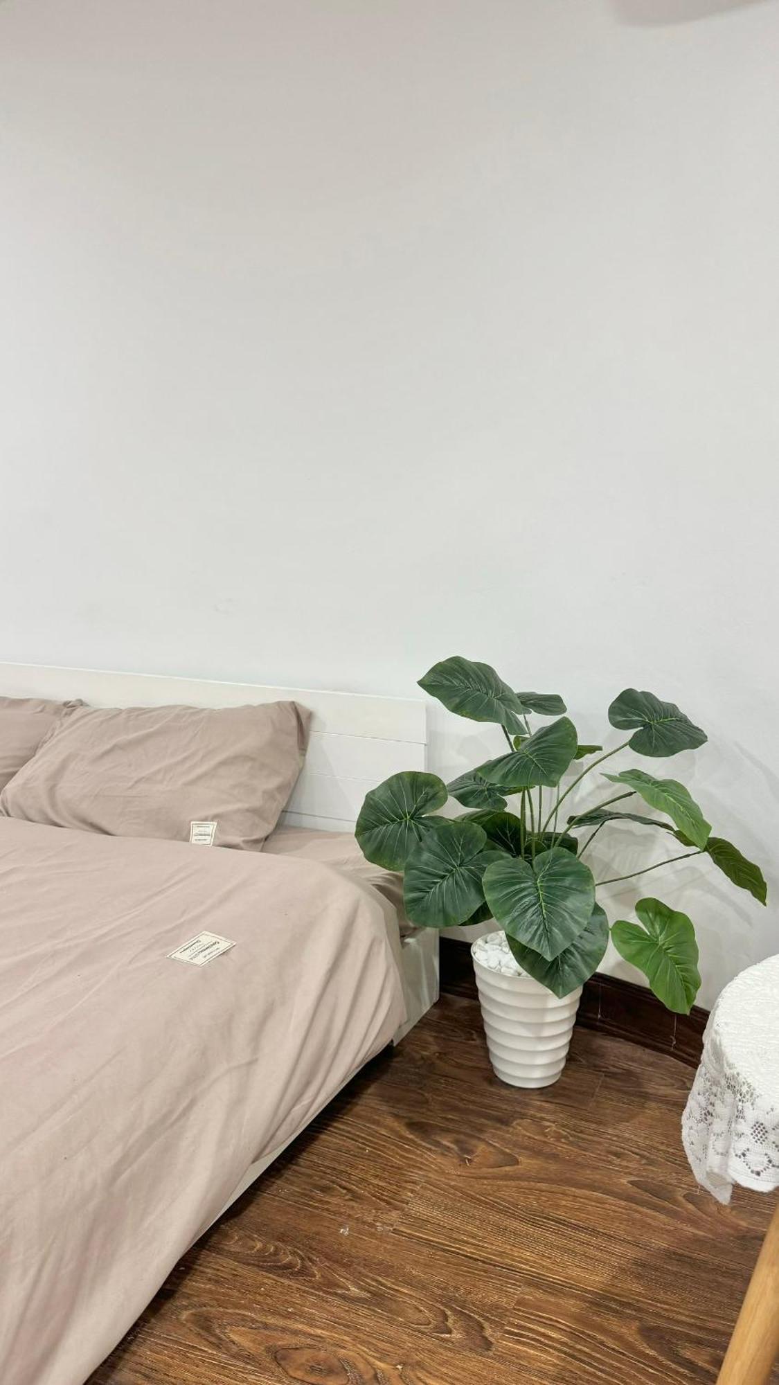 Bom House - Zxz Appartement Hanoi Buitenkant foto